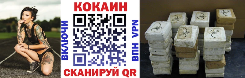 Cocaine FishScale как найти наркотики Трубчевск