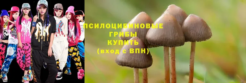 Галлюциногенные грибы Psilocybine cubensis  даркнет сайт  гидра ТОР  Трубчевск 