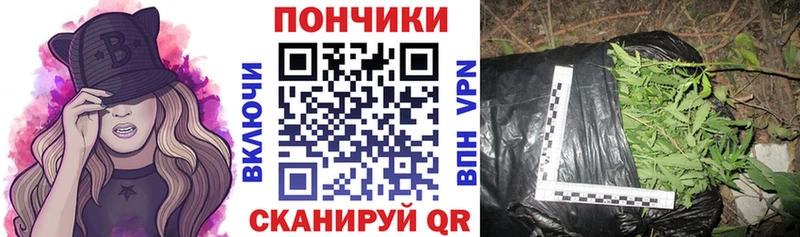 Канабис Amnesia  купить  цена  Трубчевск 